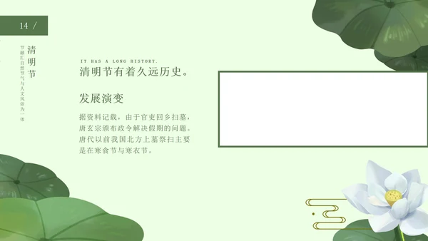 绿色中国风荷花清明节PPT模板