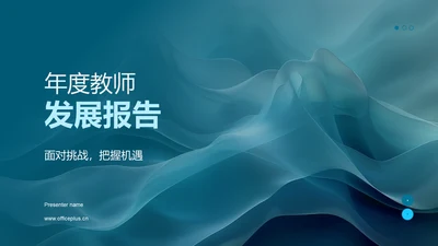 年度教师发展报告