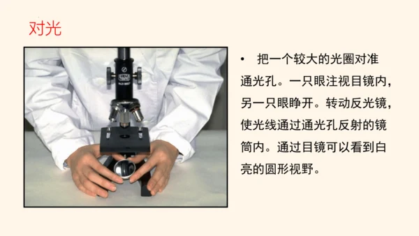 2.1.1练习使用显微镜课件2023--2024学年人教版生物七年级上册(共32张PPT)