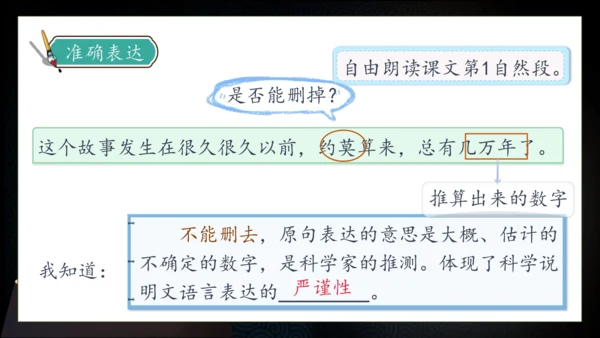 【核心素养】部编版语文四年级下册-5.琥珀 第2课时（课件）