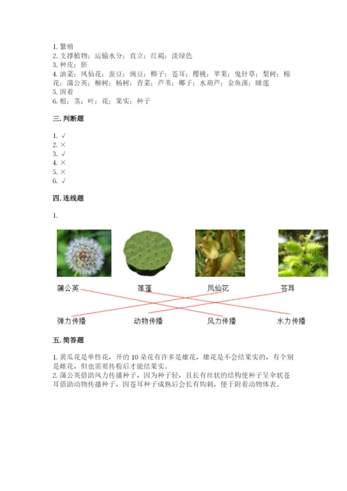 教科版科学四年级下册第一单元《植物的生长变化》测试卷精品【巩固】.docx