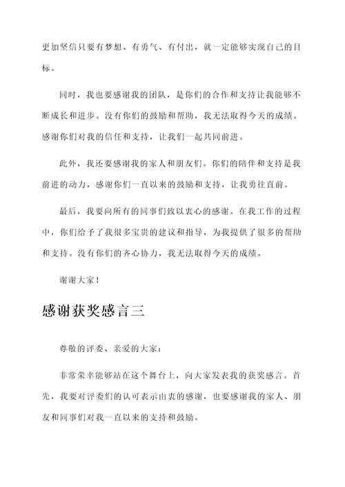 王迎善获奖感言
