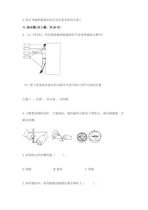 教科版小学科学二年级下册 期末测试卷（有一套）.docx