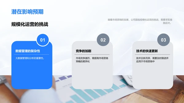 市场营销年度总结PPT模板