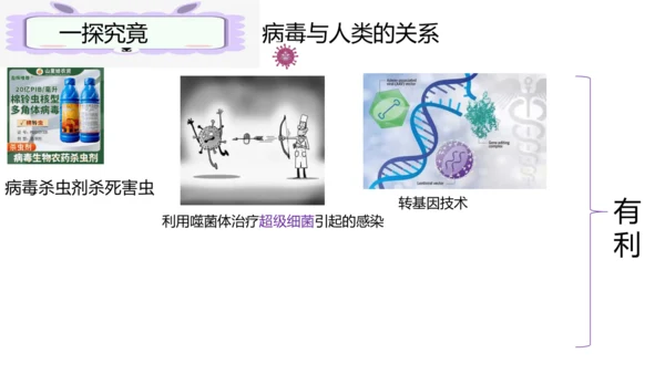 人教版生物七年级上册2.3.4《病毒》（课件）(共19张PPT)+视频素材