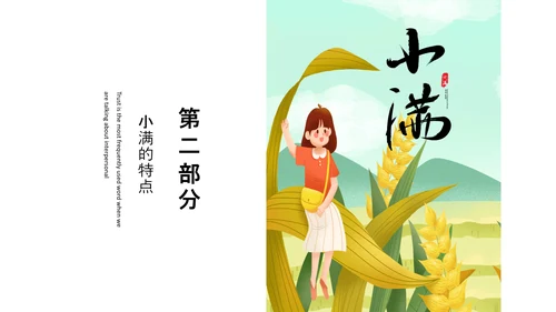食粮丰收麦穗小满PPT模板