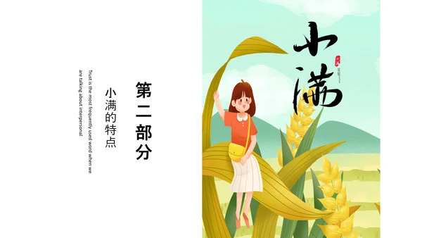 食粮丰收麦穗小满PPT模板