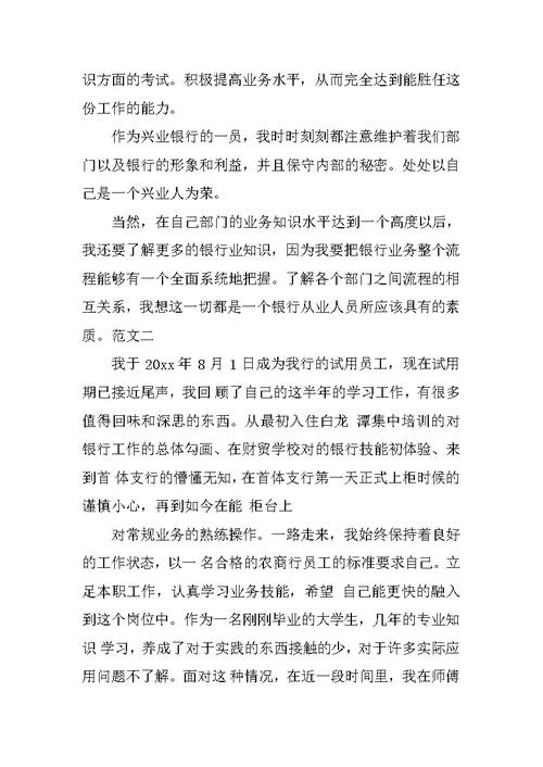 银行新员工试用期工作总结范文