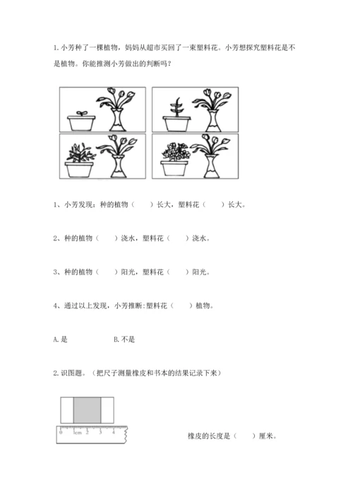 教科版科学一年级上册期末测试卷精品（有一套）.docx
