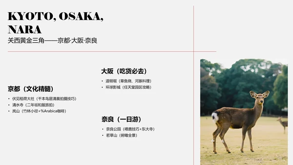 现代简约红色日本旅行攻略PPT模板
