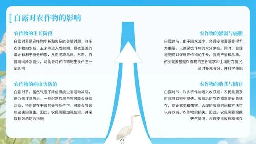 蓝绿色中国风白露节气知识宣传PPT