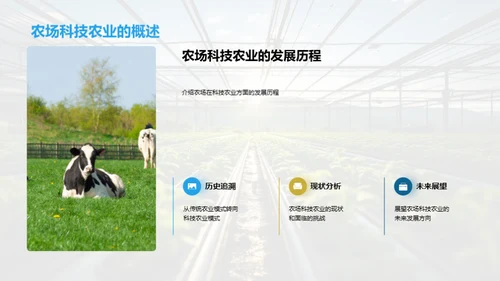 农场科技创新之路