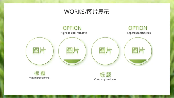 绿色农产品介绍宣传动态PPT模板