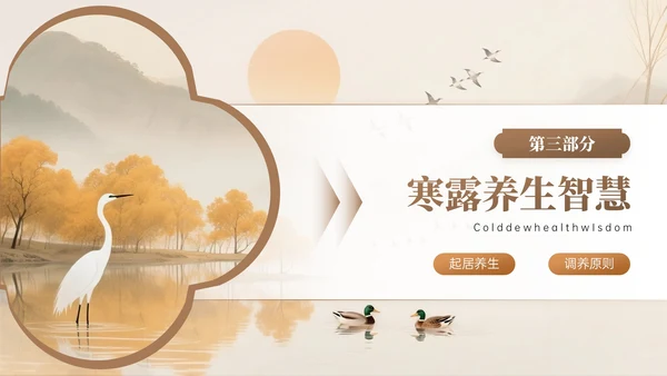棕色系中国风寒露节气知识PPT模板