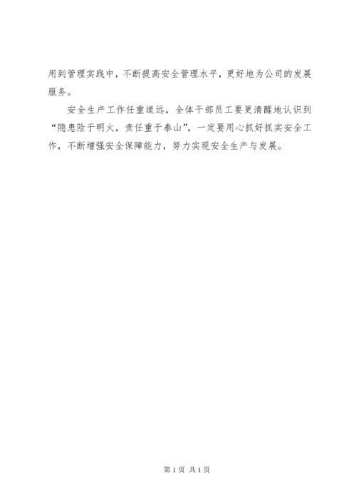 公司年度安全生产工作计划.docx