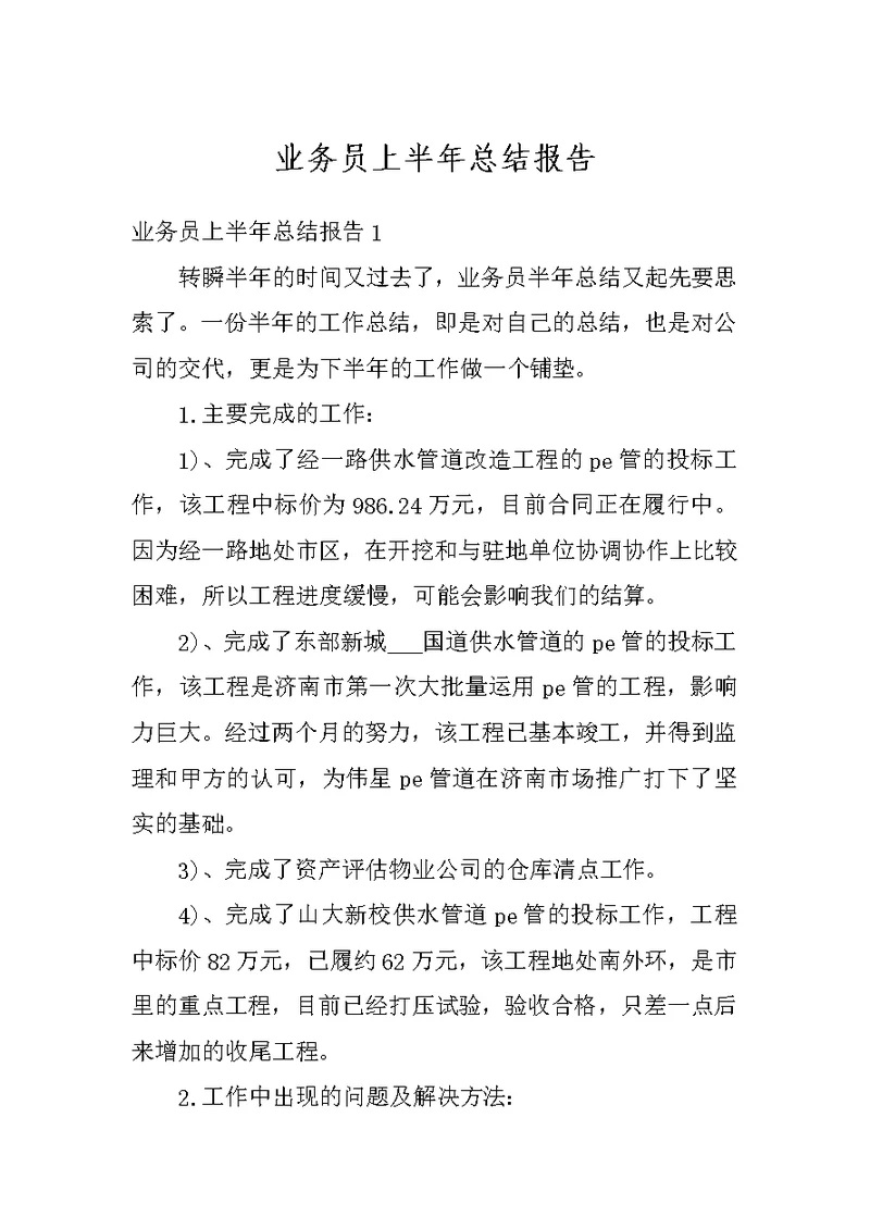 业务员上半年总结报告