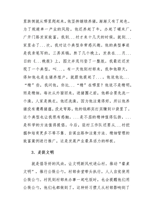 派驻...村队员乡村振兴帮扶工作情况汇报