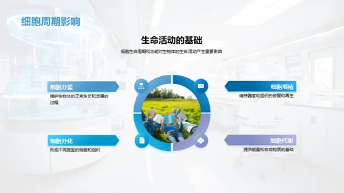 生命之源：细胞揭秘