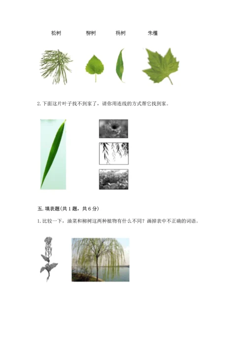 教科版科学一年级上册第一单元《植物》测试卷精品【完整版】.docx