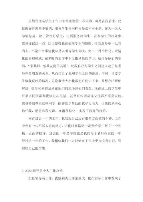 2022辅导员个人工作总结5篇.docx