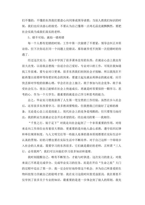 出纳的实习报告范文集锦9篇.docx