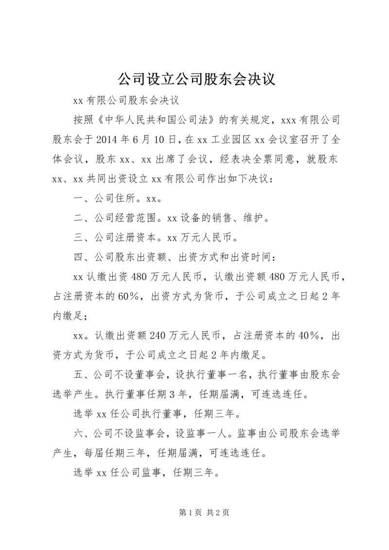 公司设立公司股东会决议.docx