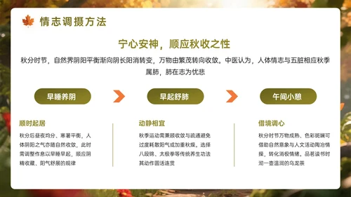 橙墨绿色3D秋分节气知识PPT模板