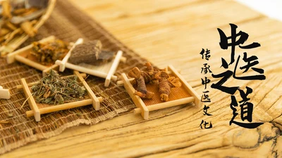 中医学养生保健医院中医文化中草药PPT
