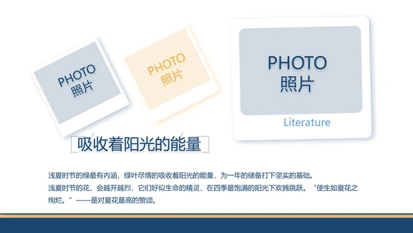 赤胆忠诚系民众团结奋进保平安PPT