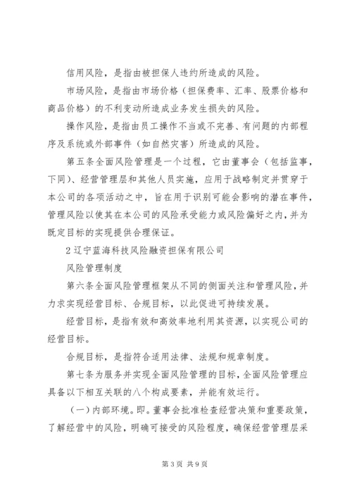 XX公司风险管理制度.docx