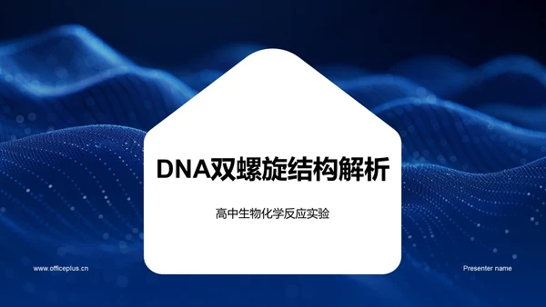 DNA双螺旋结构解析PPT模板