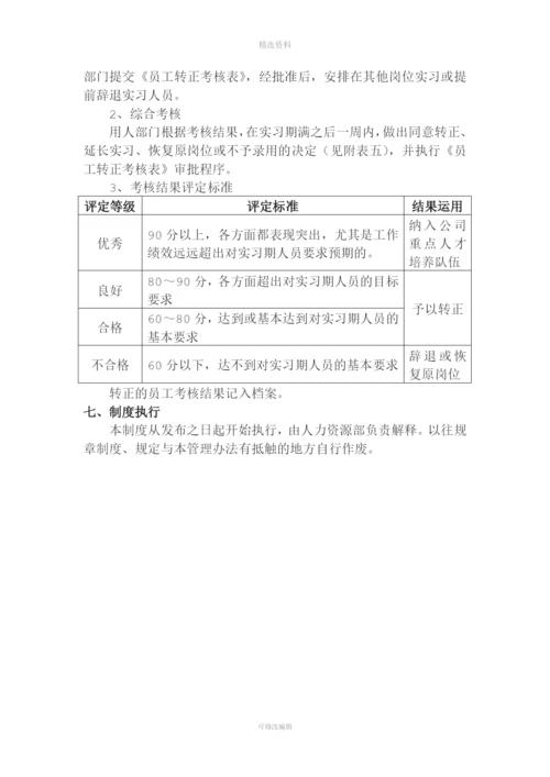 实习人员考核制度.docx