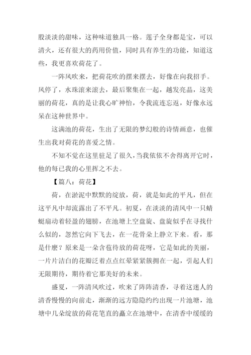 写荷花的作文600字.docx