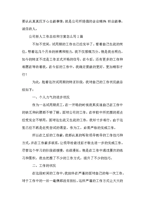 公司新人工作总结和方案怎么写3篇