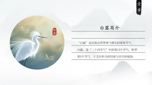 白露白鹤通用PPT模板