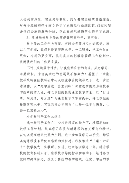 小学教科研工作总结.docx
