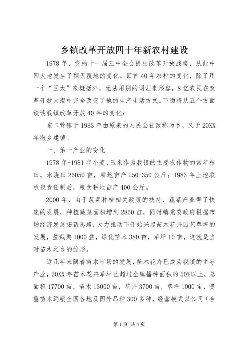 乡镇改革开放四十年新农村建设.docx