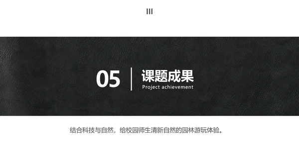 简约风大学生小组作业成果展示
