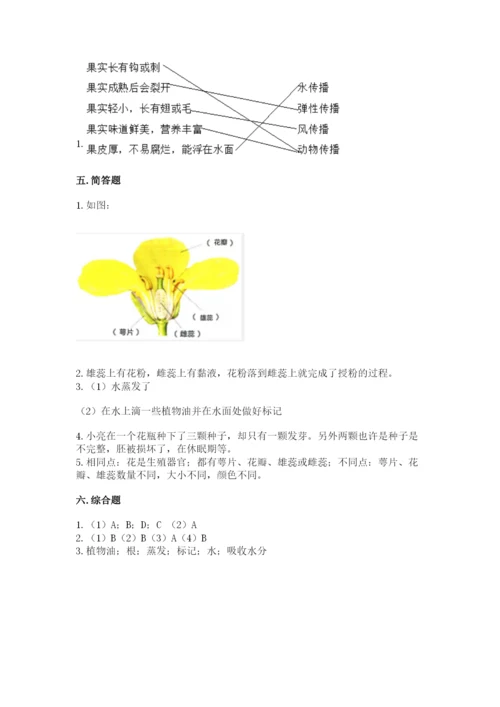 教科版四年级下册科学第一单元《植物的生长变化》测试卷精编答案.docx