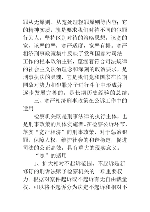 宽严相济刑事政策研究.docx