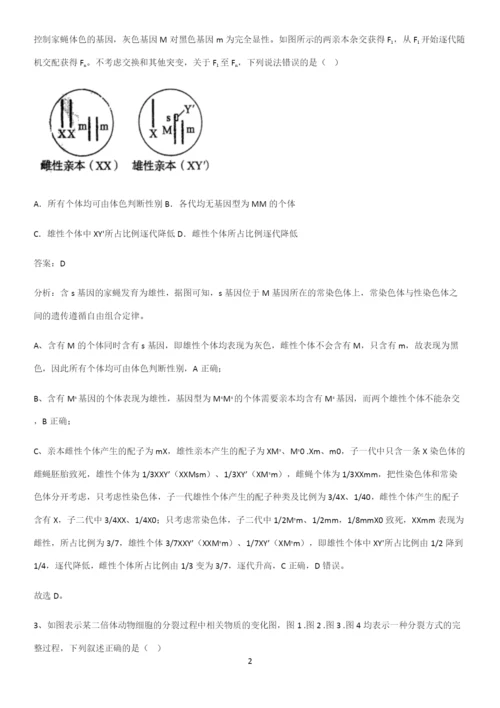 郑州市高中生物必修二第二章基因和染色体的关系总结(重点)超详细.docx