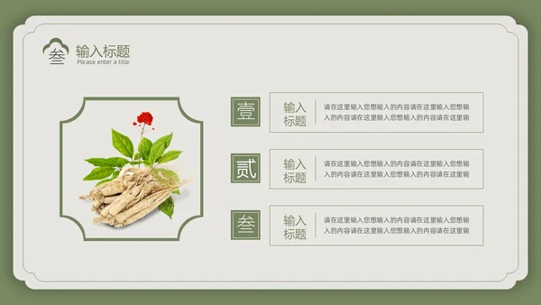 绿色复古风中国风中医PPT模板