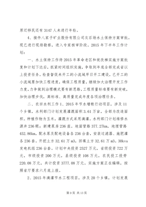 水利局上半年工作总结与下半年计划.docx