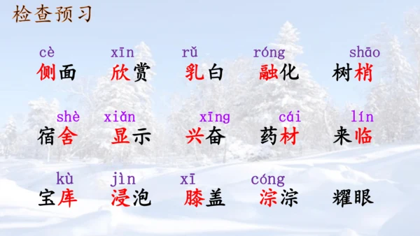 第20课《美丽的小兴安岭》课件