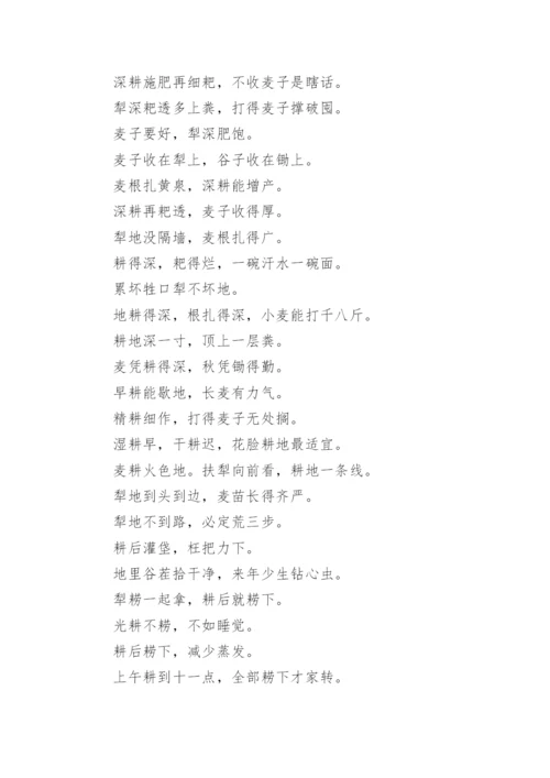 白露节气的唯美古诗.docx