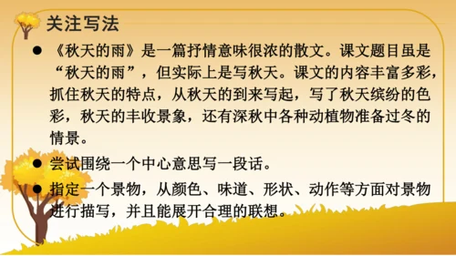 6 秋天的雨   课件