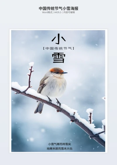 中国传统节气小雪海报