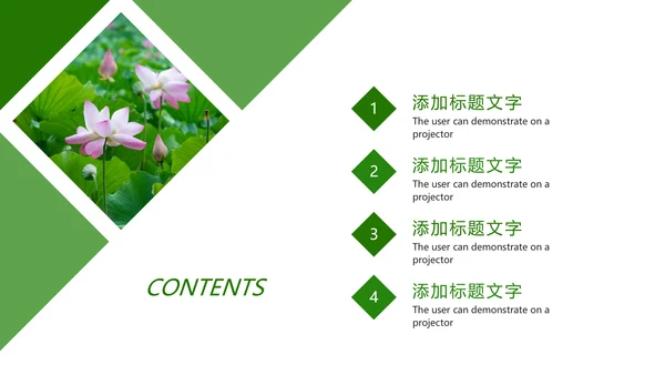 绿色唯美荷花廉政工作总结汇报PPT模板