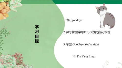 Unit 2 I‘m Liu Tao  Lesson 2 课件（共37张PPT)