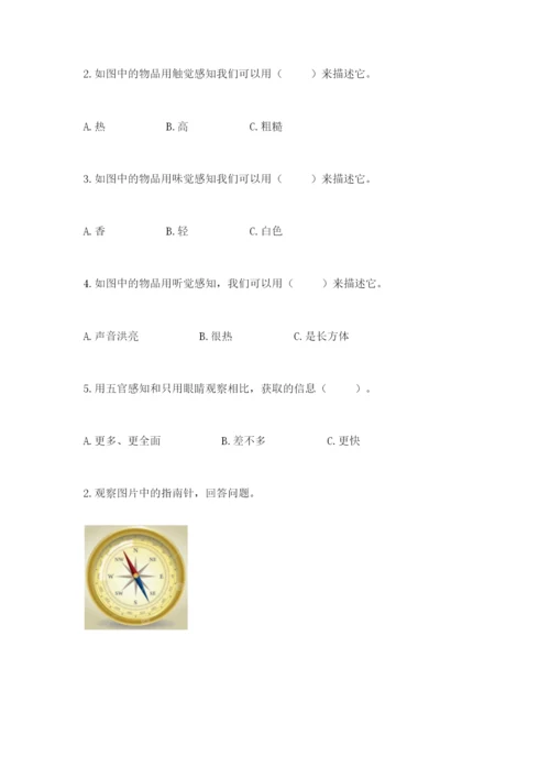 教科版小学科学二年级下册 期末测试卷（精品）.docx